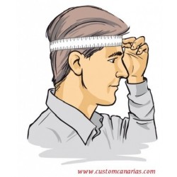 casco/modular/moto/Las Palmas